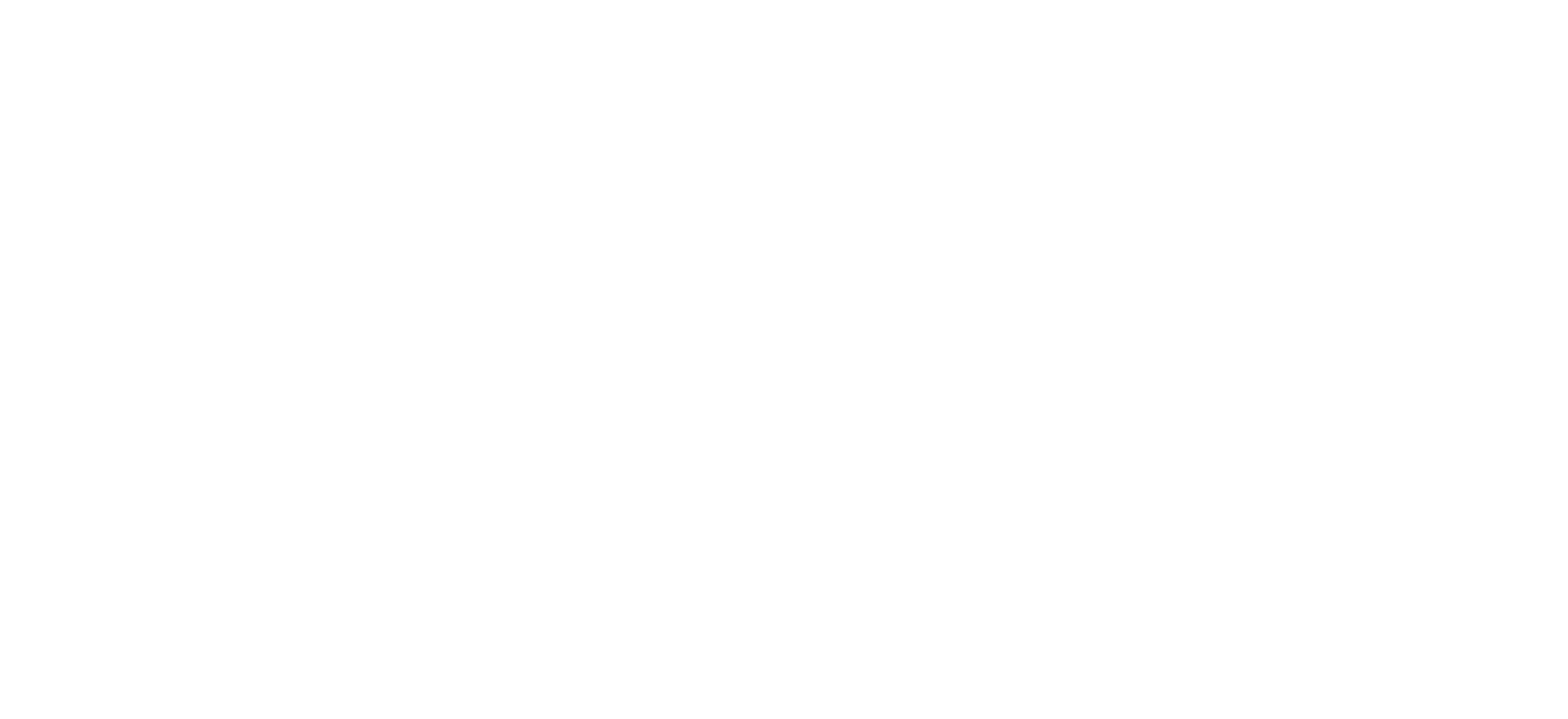 white-logo-4